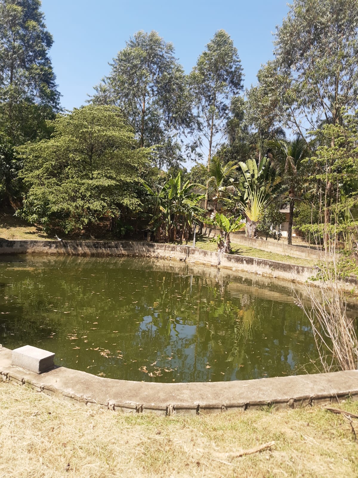 Chácara à venda, 2100m2 - Foto 6