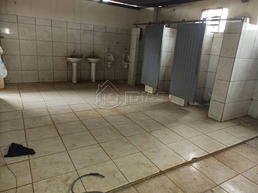 Depósito-Galpão, 800 m² - Foto 13