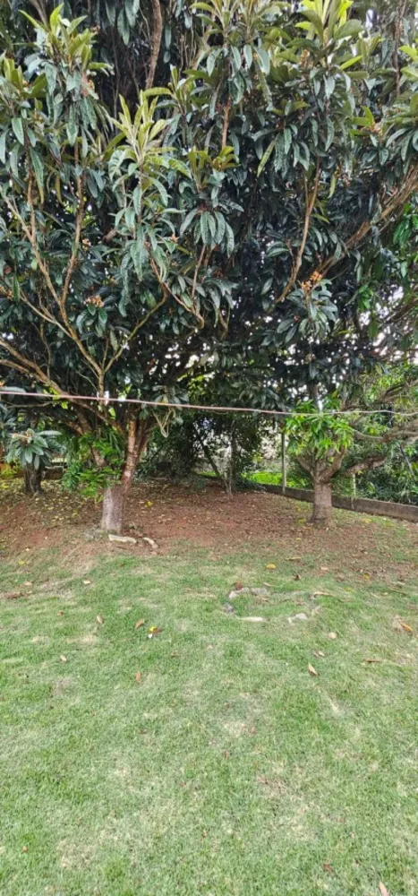 Chácara, 4 quartos, 1060 m² - Foto 1