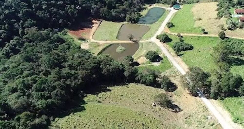 Terreno, 2 hectares - Foto 2