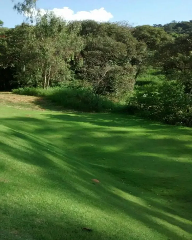 Terreno, 35 hectares - Foto 2