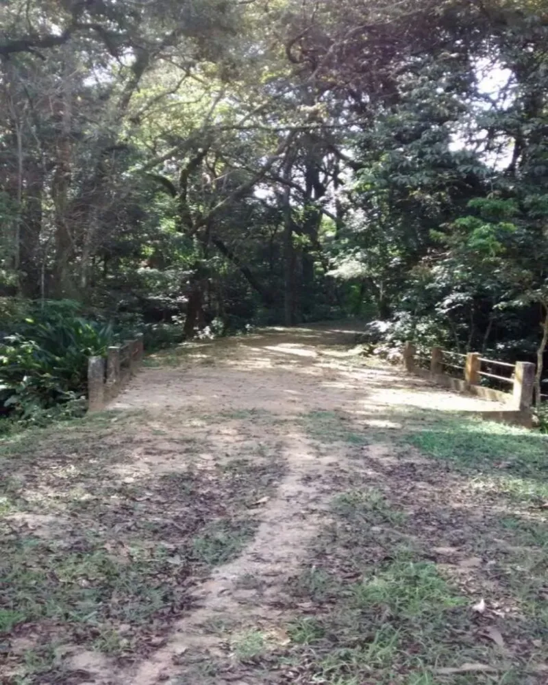 Terreno, 35 hectares - Foto 5