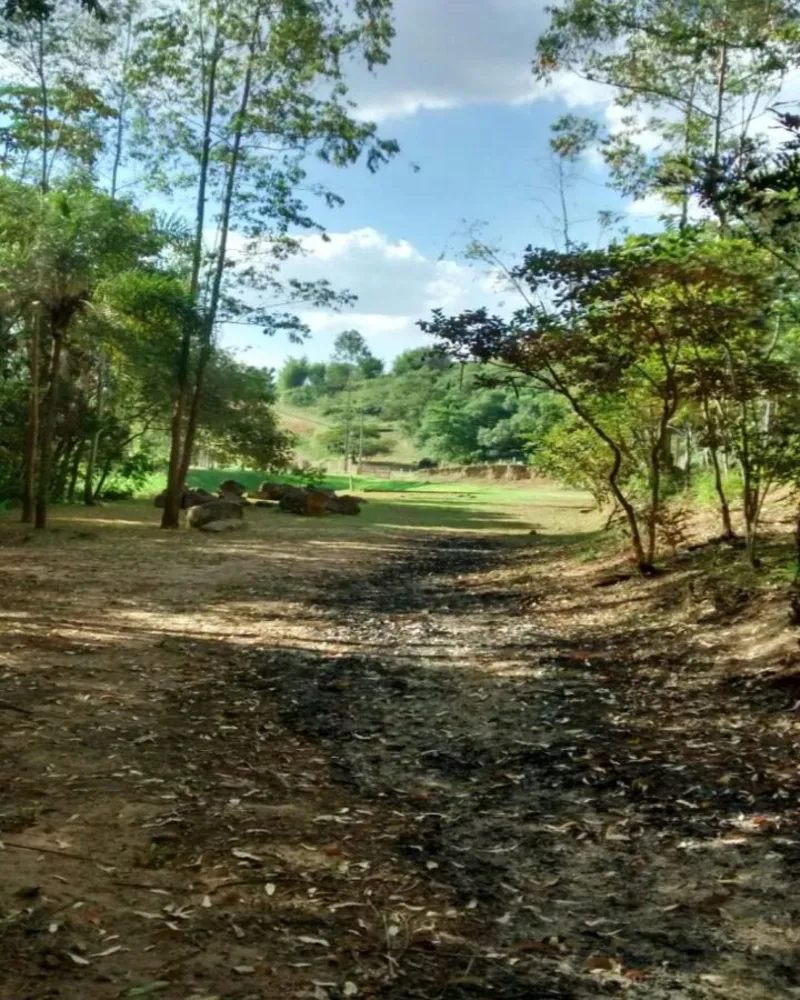 Terreno, 35 hectares - Foto 3