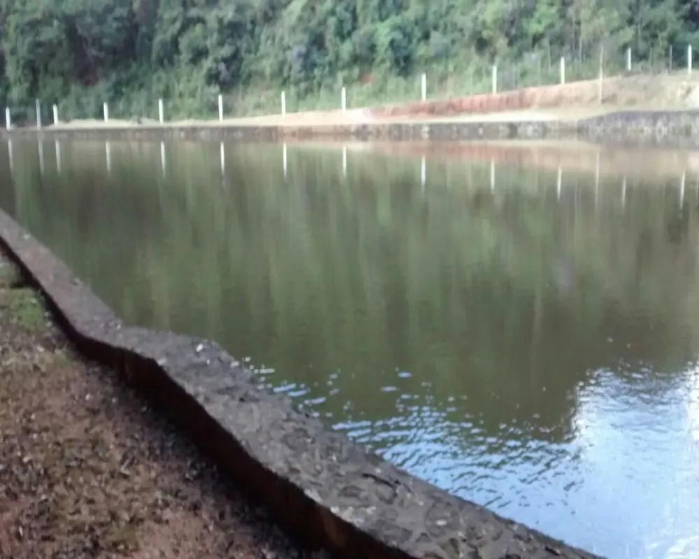 Terreno, 35 hectares - Foto 1