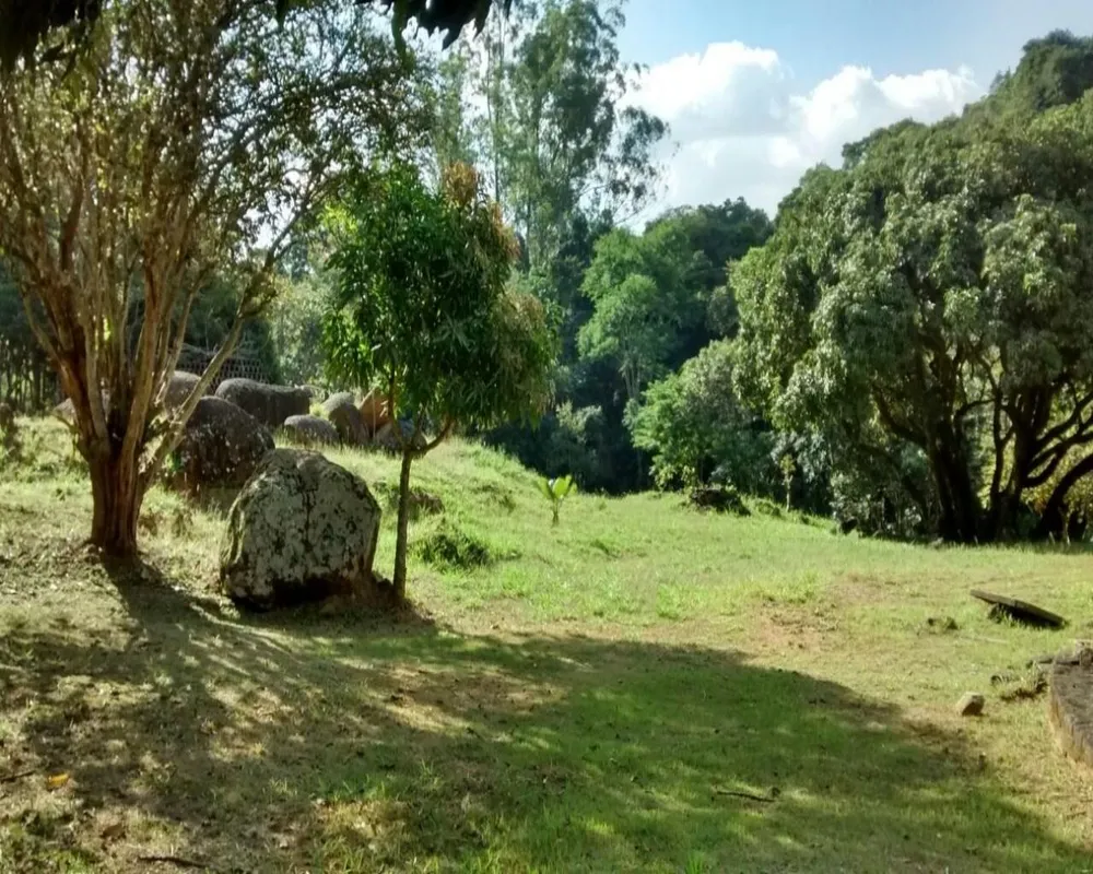 Terreno, 35 hectares - Foto 4