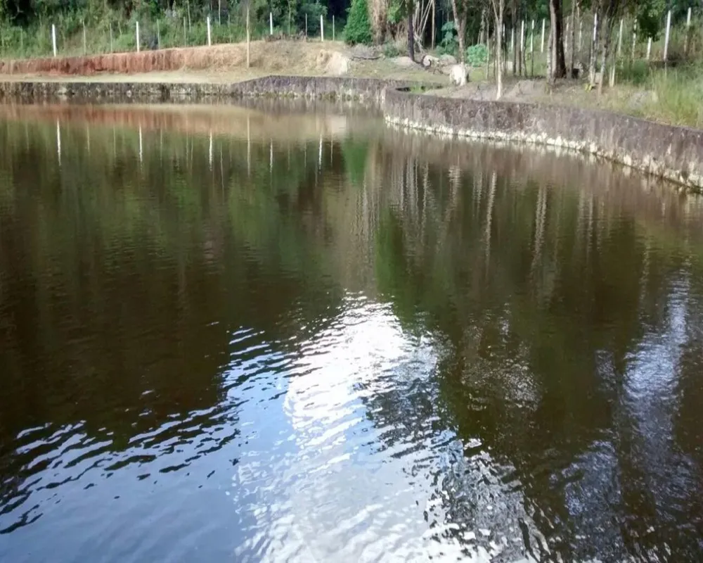 Terreno, 35 hectares - Foto 8