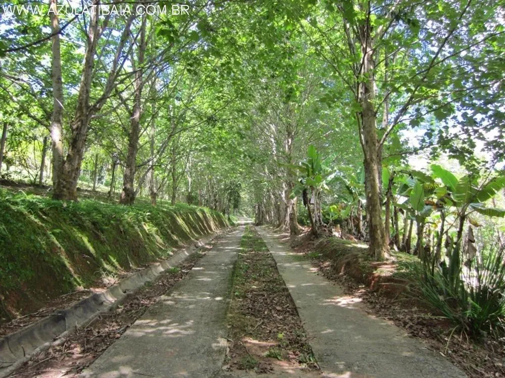 Chácara, 5 quartos, 2 hectares - Foto 12