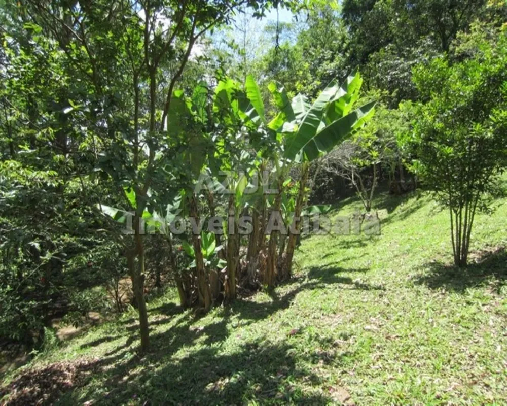 Chácara, 5 quartos, 2 hectares - Foto 10