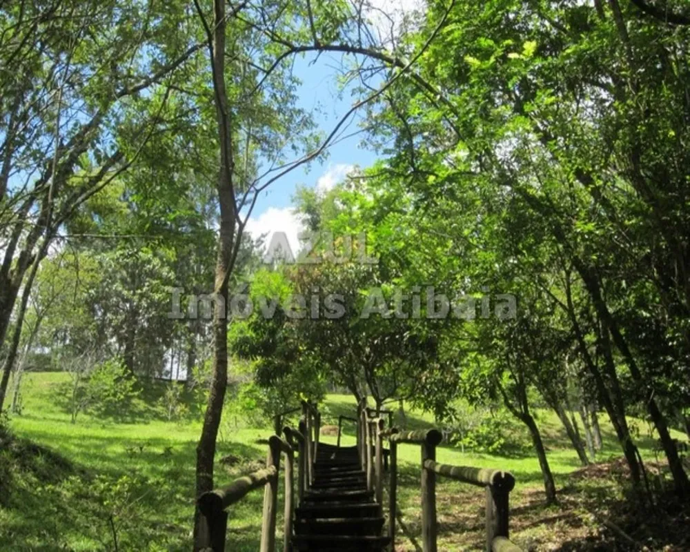 Chácara, 5 quartos, 2 hectares - Foto 9