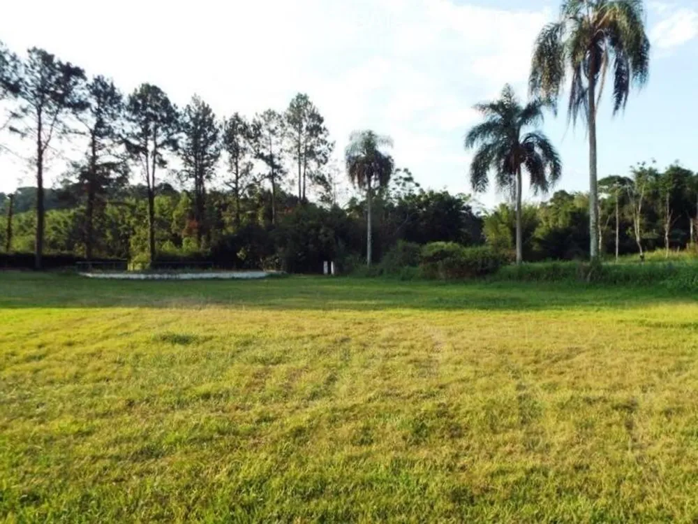 Sítio, 4 quartos, 2 hectares - Foto 4
