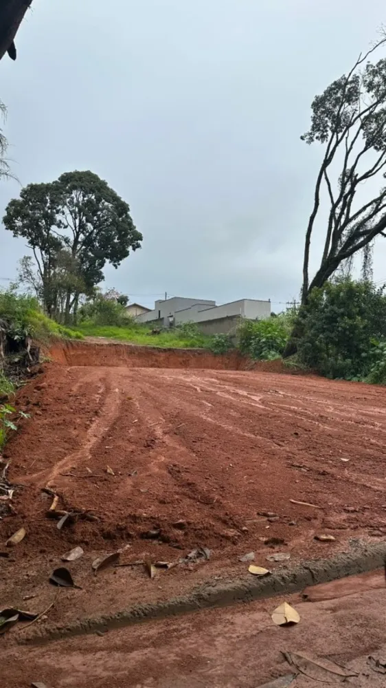 Terreno, 506 m² - Foto 7