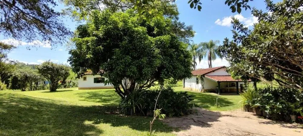 Sítio, 3 quartos, 4 hectares - Foto 12