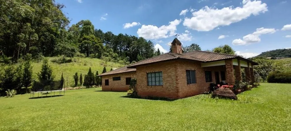 Sítio, 3 quartos, 4 hectares - Foto 3