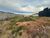 Terreno, 450 m² - Foto 2