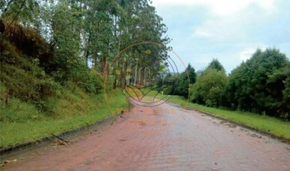 Fazenda - Foto 5