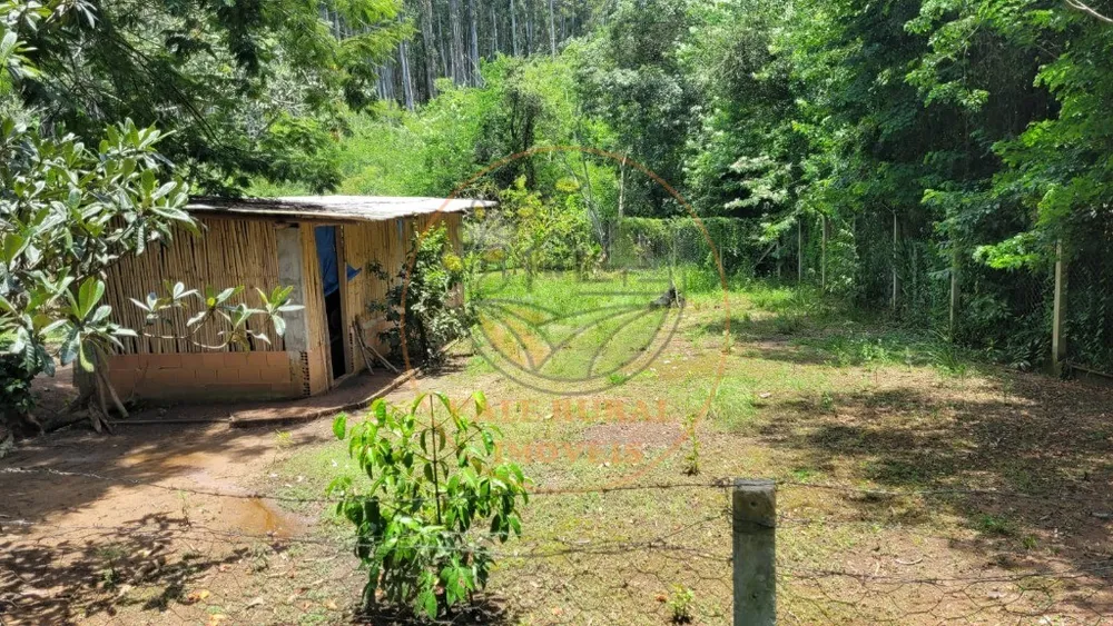 Chácara, 6 quartos - Foto 12