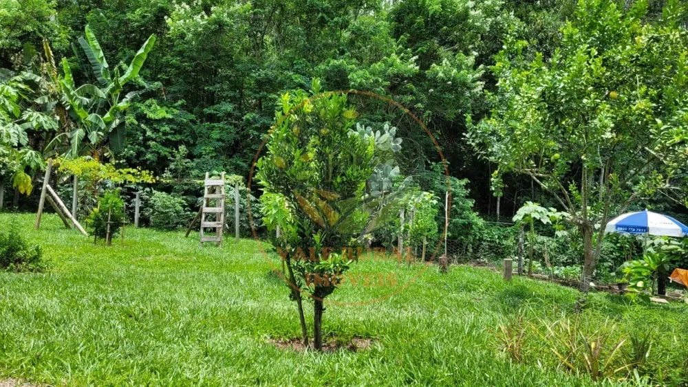 Chácara, 6 quartos - Foto 11