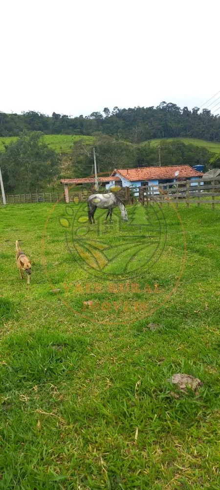 Sítio, 3 quartos, 8 m² - Foto 1