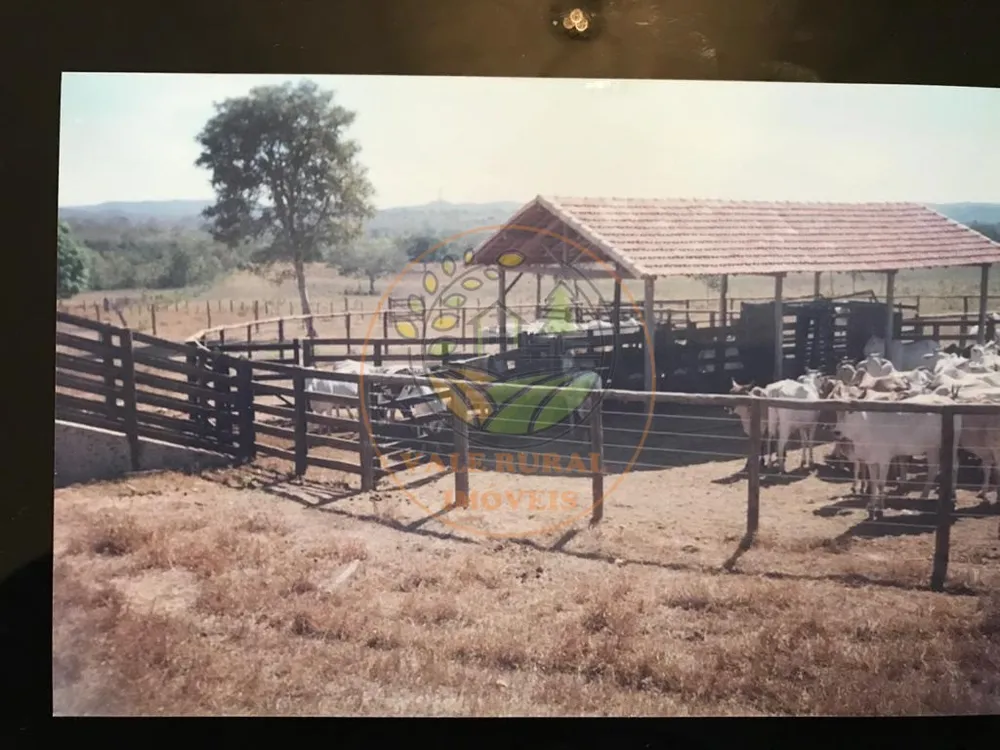 Fazenda - Foto 4