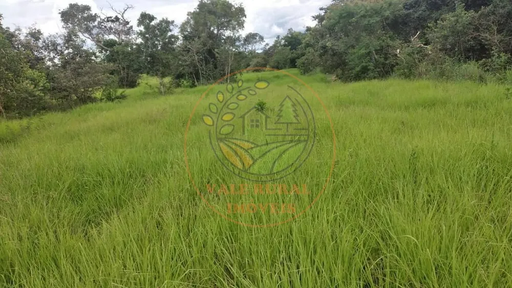 Fazenda - Foto 2