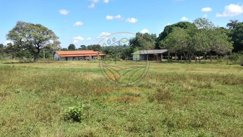 Fazenda - Foto 8