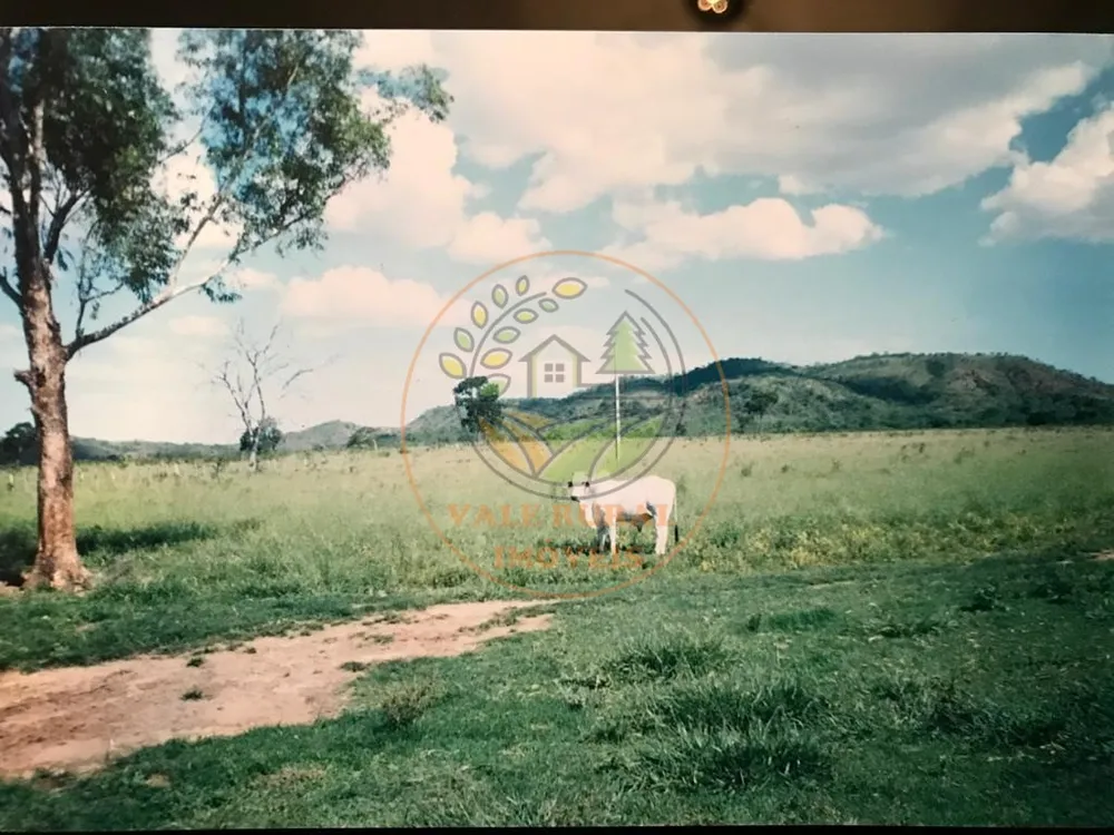Fazenda - Foto 7