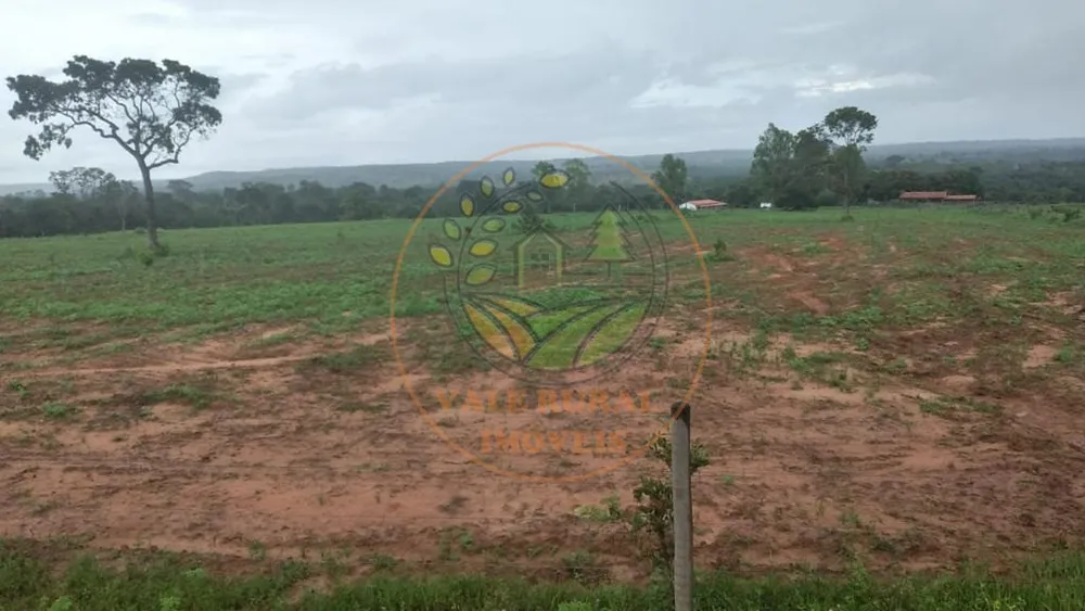 Fazenda - Foto 10