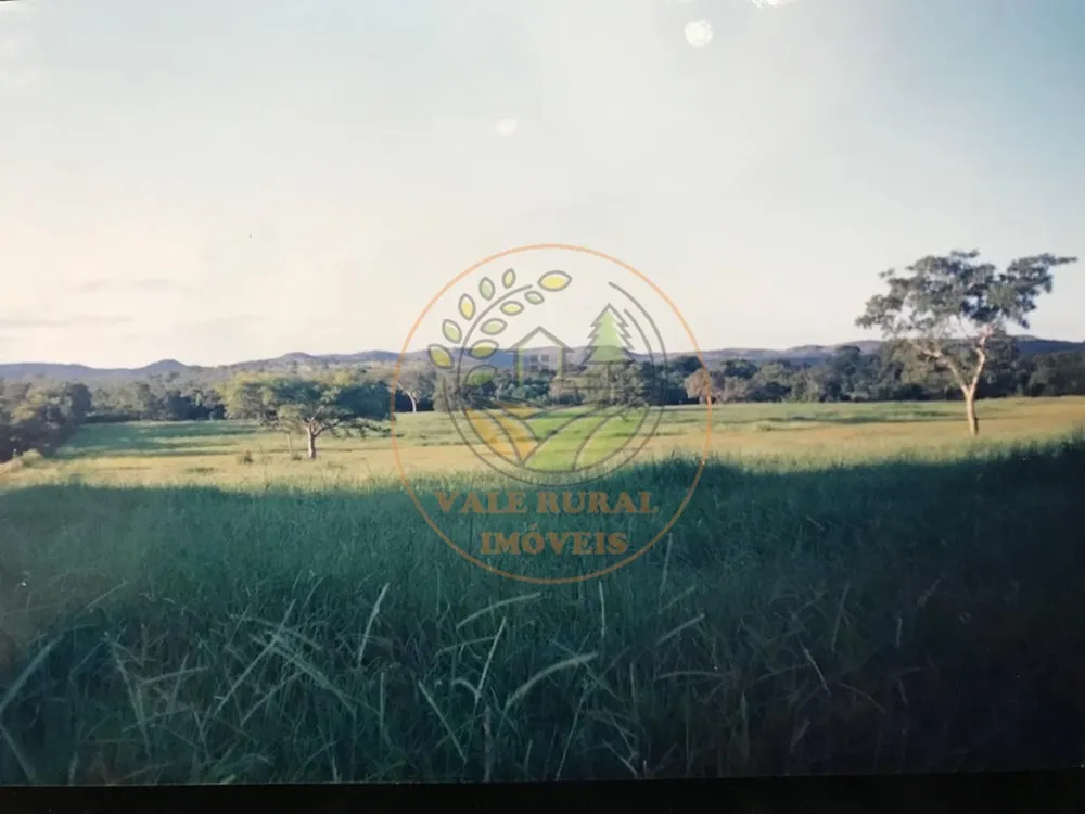 Fazenda - Foto 6