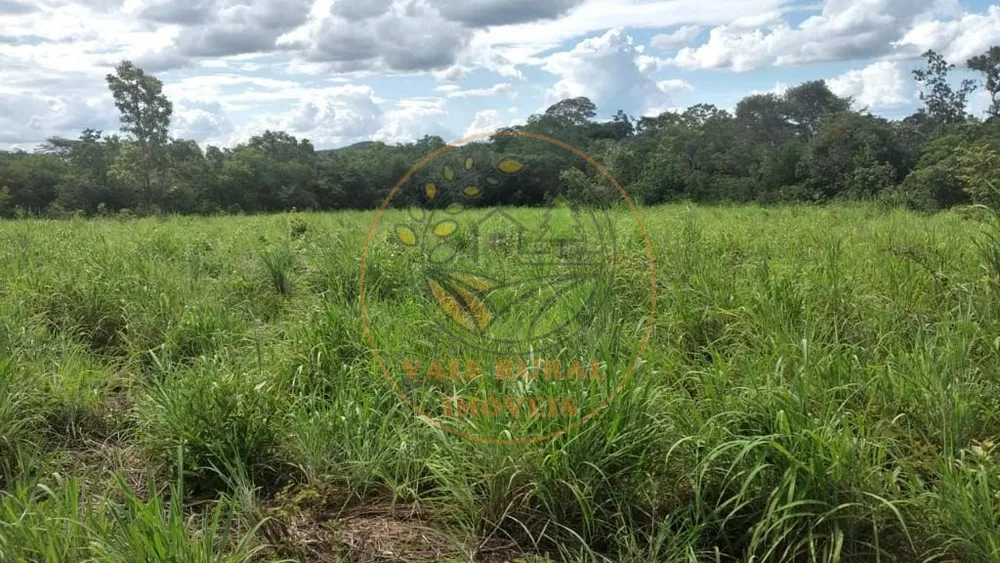 Fazenda - Foto 9