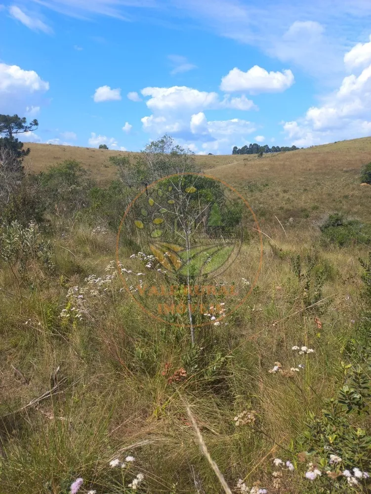 Sítio à venda - Foto 4