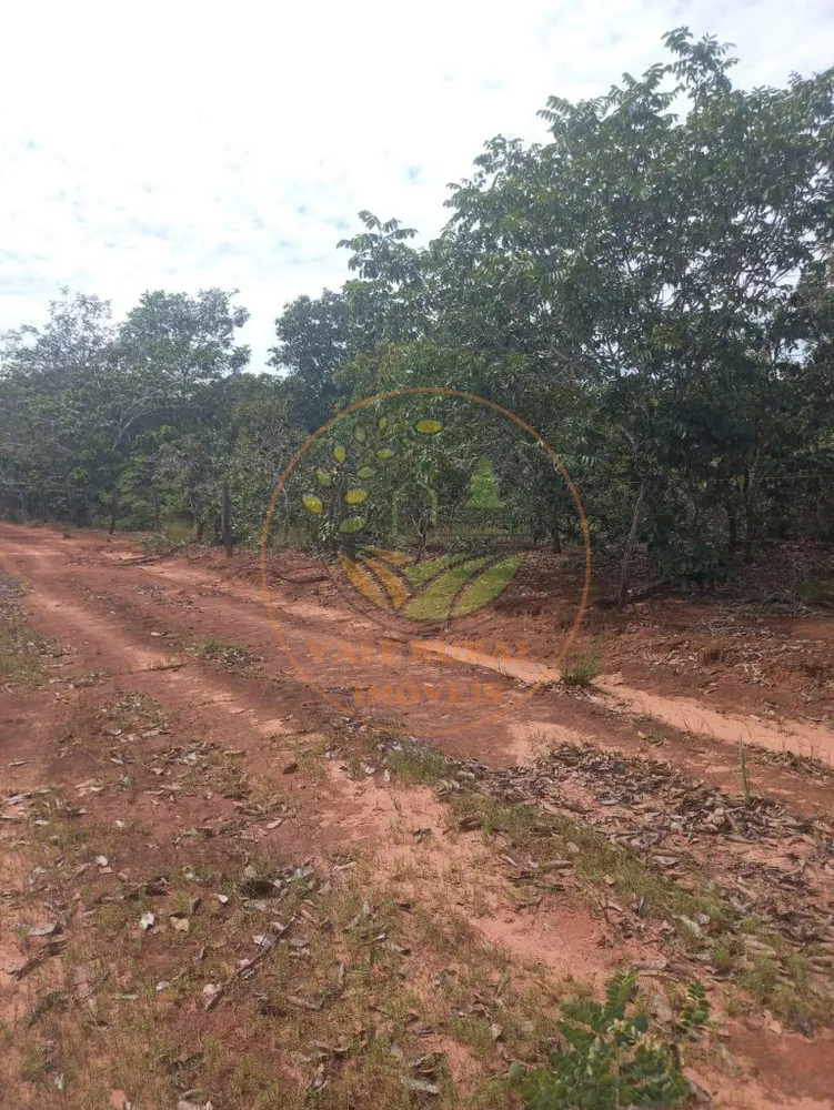 Fazenda - Foto 4