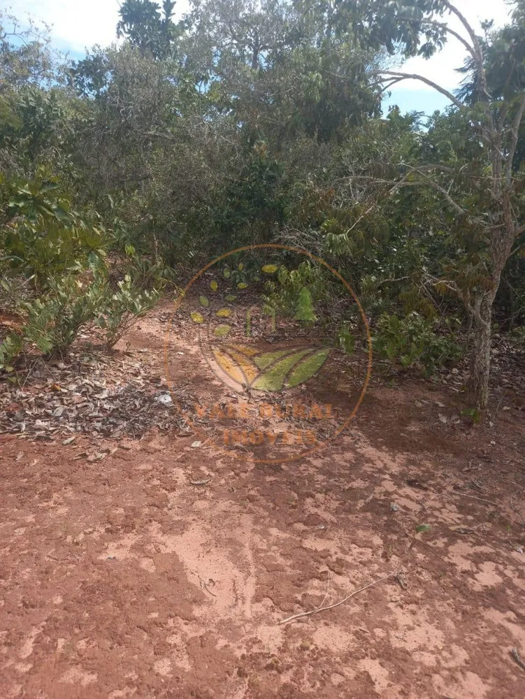 Fazenda - Foto 12