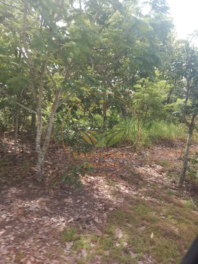 Fazenda - Foto 3