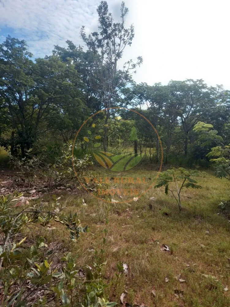Fazenda - Foto 5
