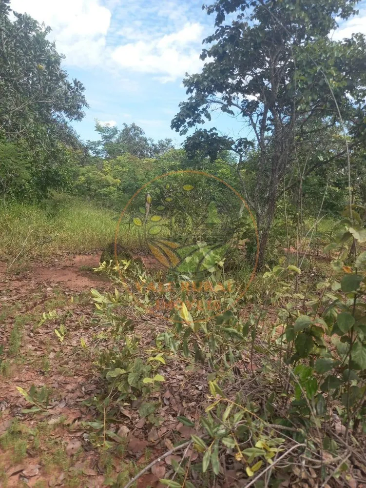 Fazenda - Foto 2