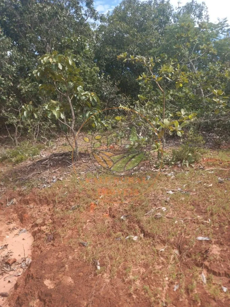 Fazenda - Foto 1