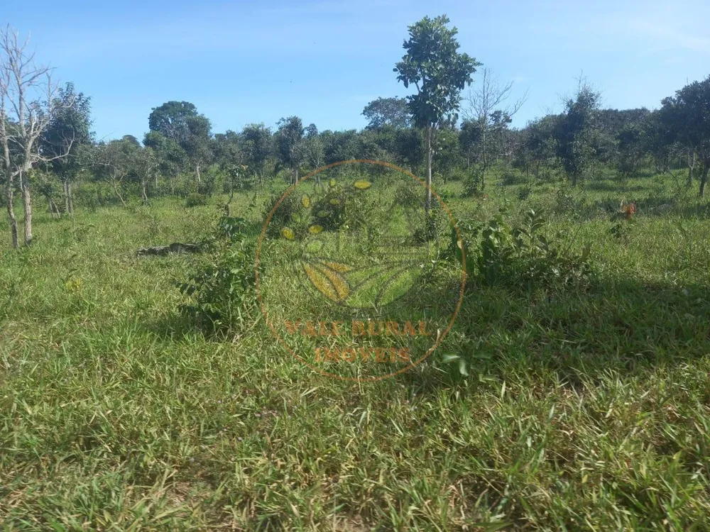 Fazenda - Foto 10