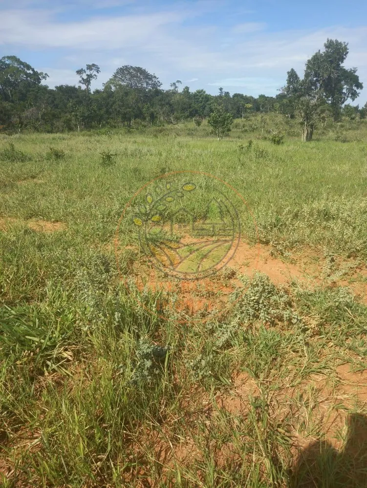 Fazenda - Foto 8