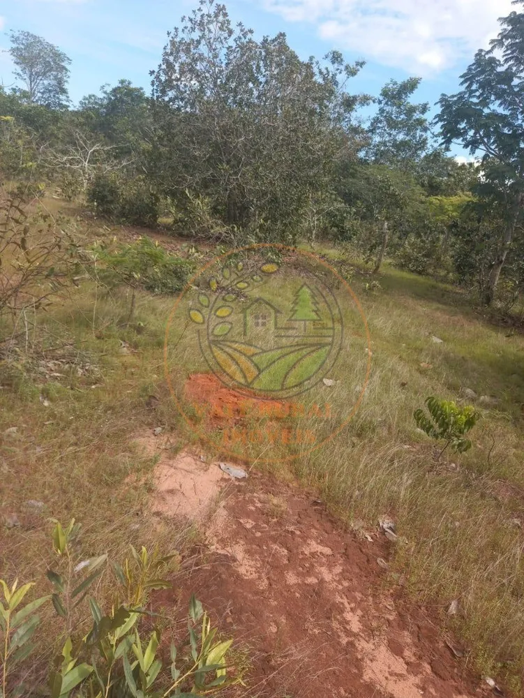 Fazenda - Foto 6