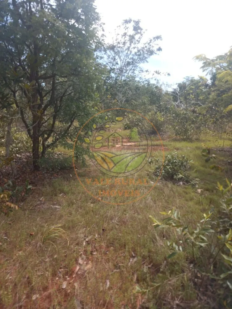 Fazenda - Foto 7