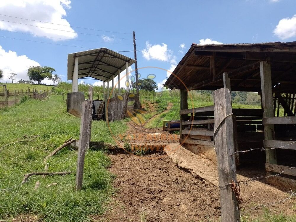 Fazenda - Foto 3