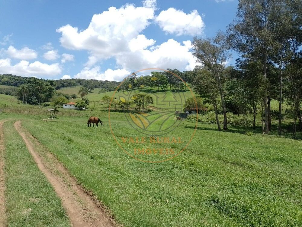 Fazenda - Foto 4