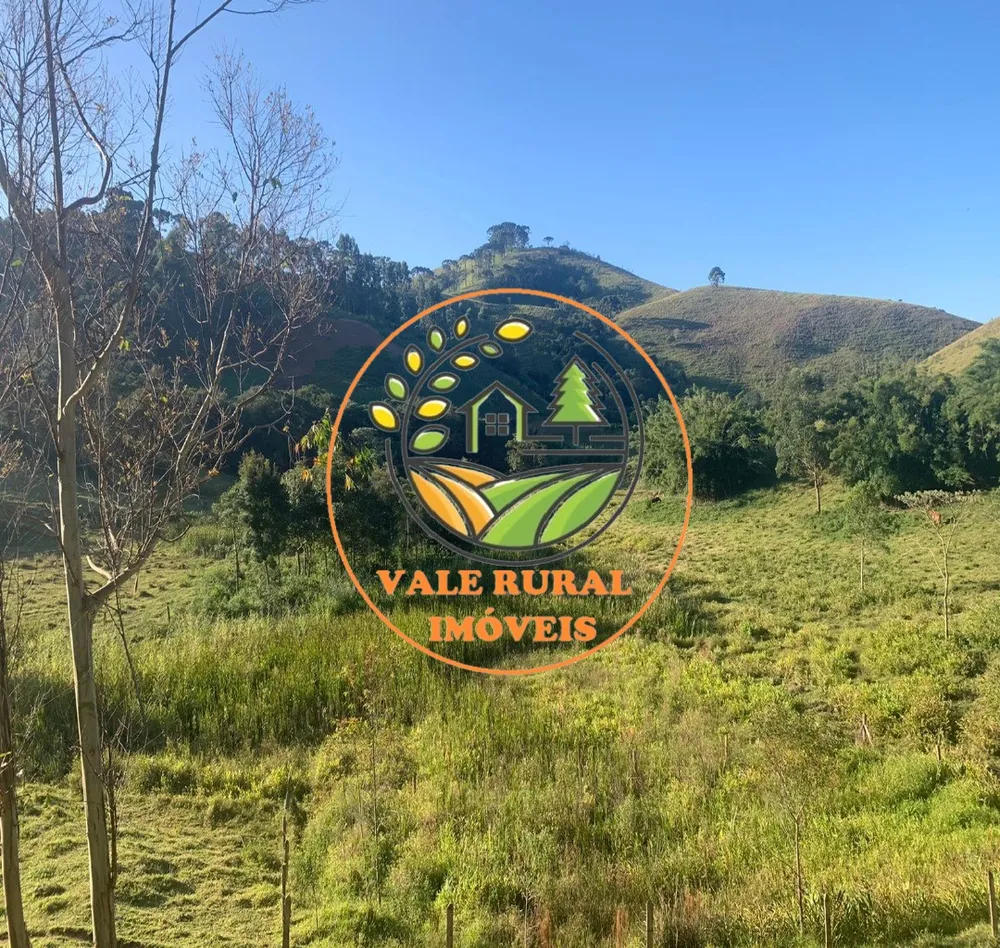 Fazenda, 4 hectares - Foto 4