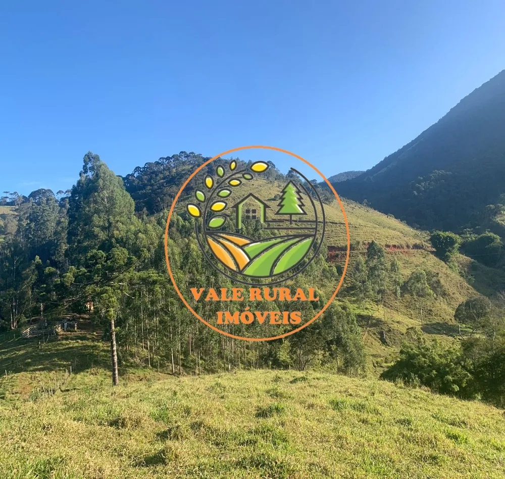 Fazenda, 4 hectares - Foto 8