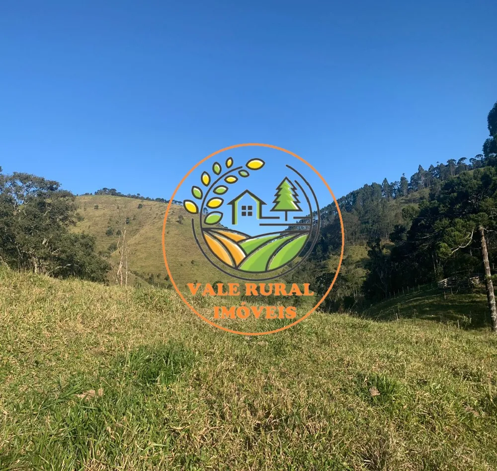 Fazenda, 4 hectares - Foto 9