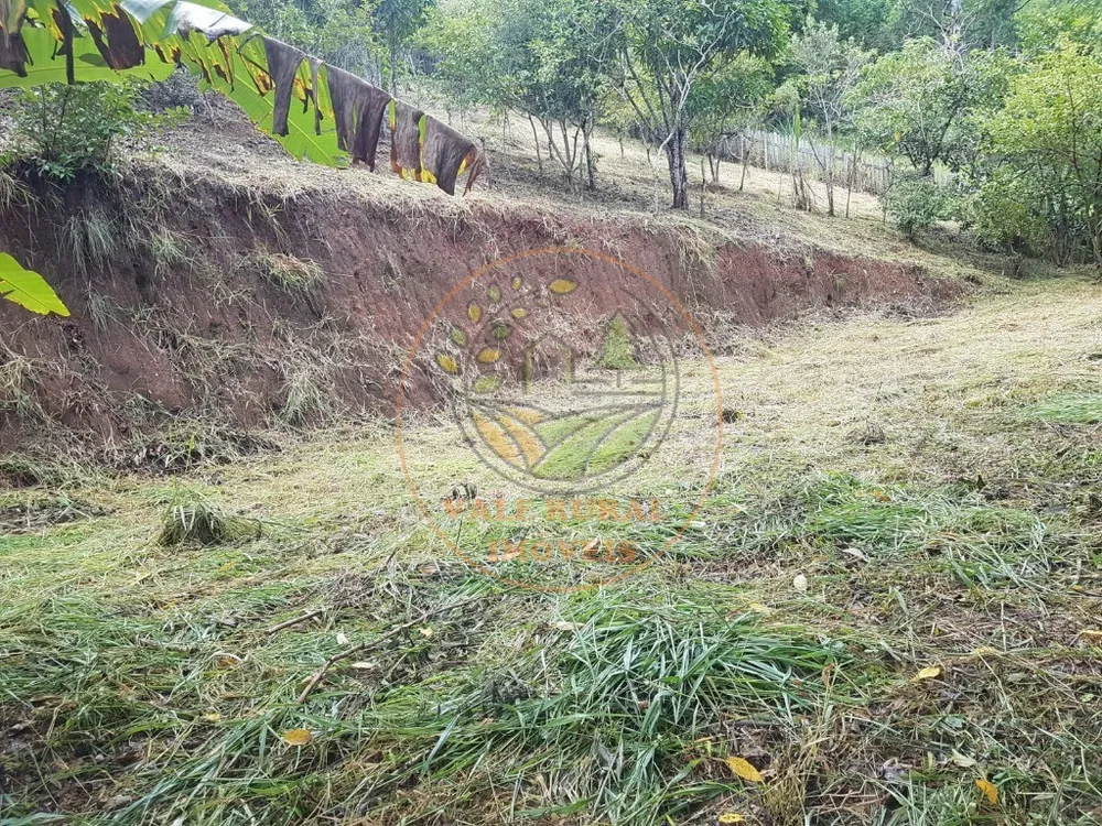 Fazenda - Foto 5