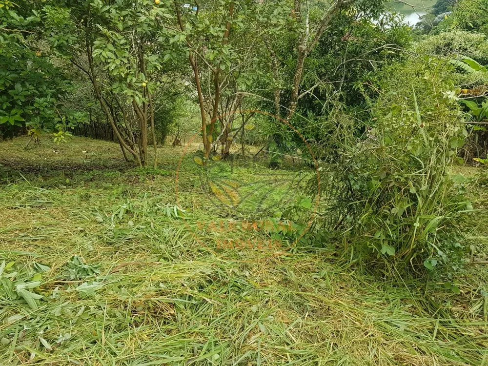 Terreno - Foto 6
