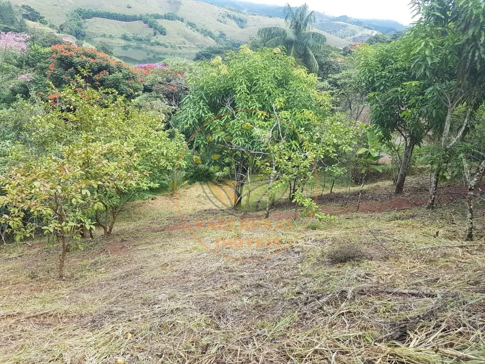 Fazenda - Foto 3