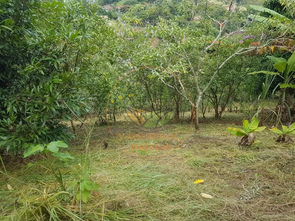Terreno - Foto 5