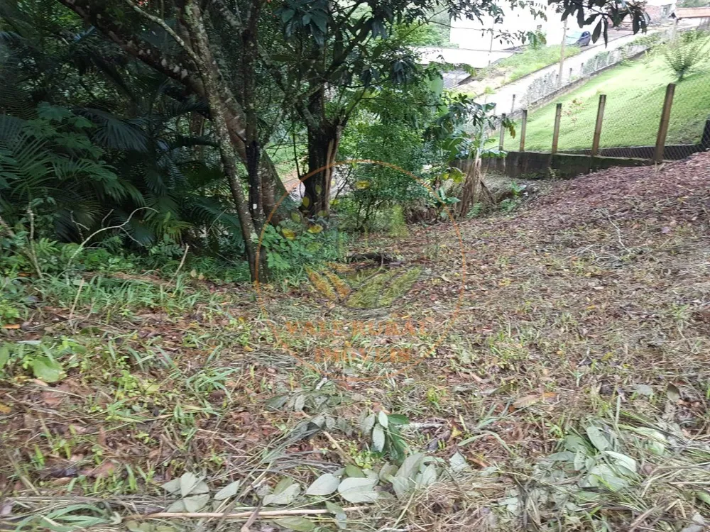 Fazenda - Foto 6